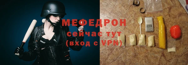 сатива Няндома