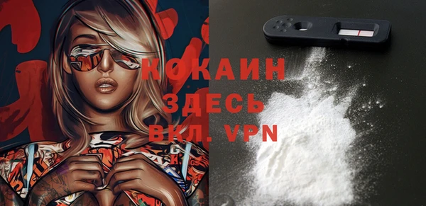 стафф Струнино
