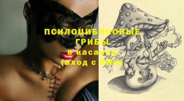 сатива Ступино