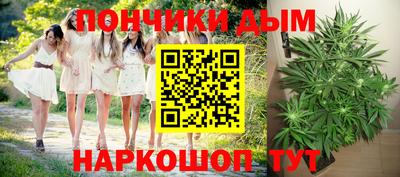 PSILOCYBIN Заводоуковск