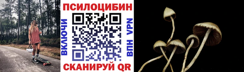 Галлюциногенные грибы мухоморы Можайск