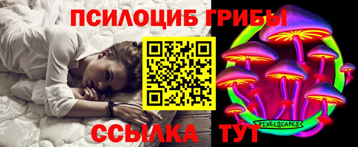 Псилоцибиновые грибы мицелий Можайск